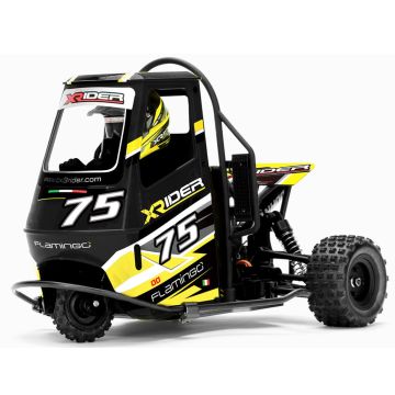 X-Rider Flamingo 1:8 RC Tricycle - RTR Black (XR-83001-04)
