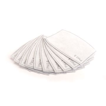 Arrowmax PM2.5 Filter for AM Safety Mask (10) (AM140027)