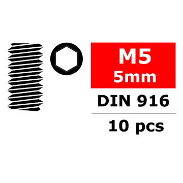 Corally Steel Set Screws M5 X 5mm Hex 10 Pcs (C-3004-50-05)