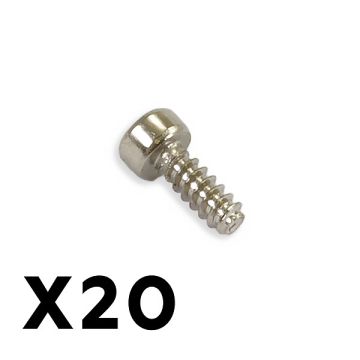 FTX Outback Fury Round Head Screw 2X5mm (20pcs) (FTX9197)