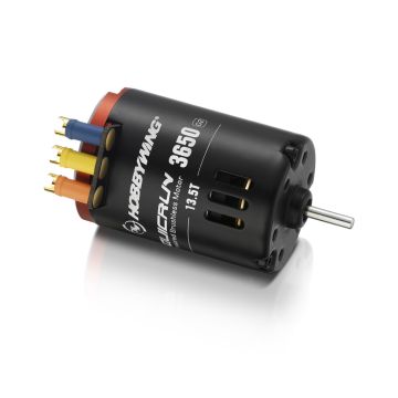 Hobbywing QUICRUN - 3650 - G2 - Motor - 6.5T (HW30404312)
