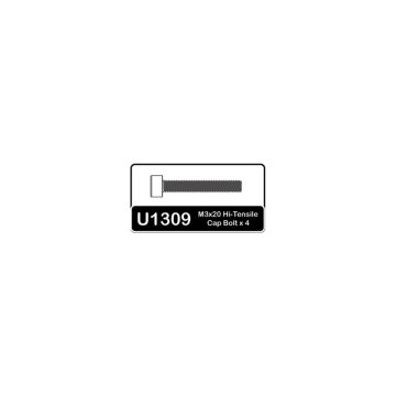 Schumacher SPEED PACK-Hi-Tensile M3x20 CAP Head (U1309)
