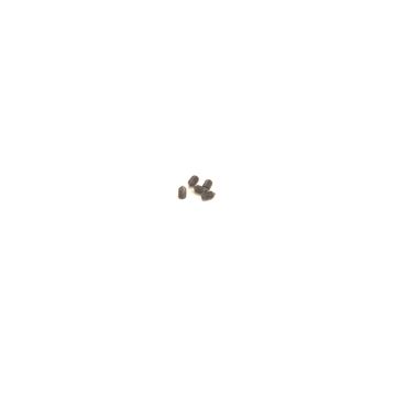 Schumacher SPEED PACK - M2.5x4 Cone Grub Screw (pk5) (U8322)