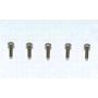 Tamiya 3X10mm Titan Socket Screw X5