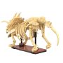 Cada Dinosaur Fossils: Triceratops - 272 pcs (C59013W)