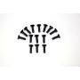 Absima Flat phillips head screw M3x10 (15) ATC 2.4 RTR/BL
