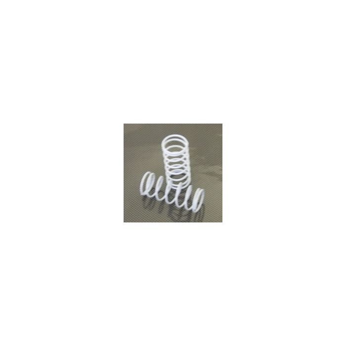 FTX Fr/Rr Shock Springs White (2) (Rampage/Outrage) FTX Fr/Rr Shock Springs White (2) (Rampage/Outrage)