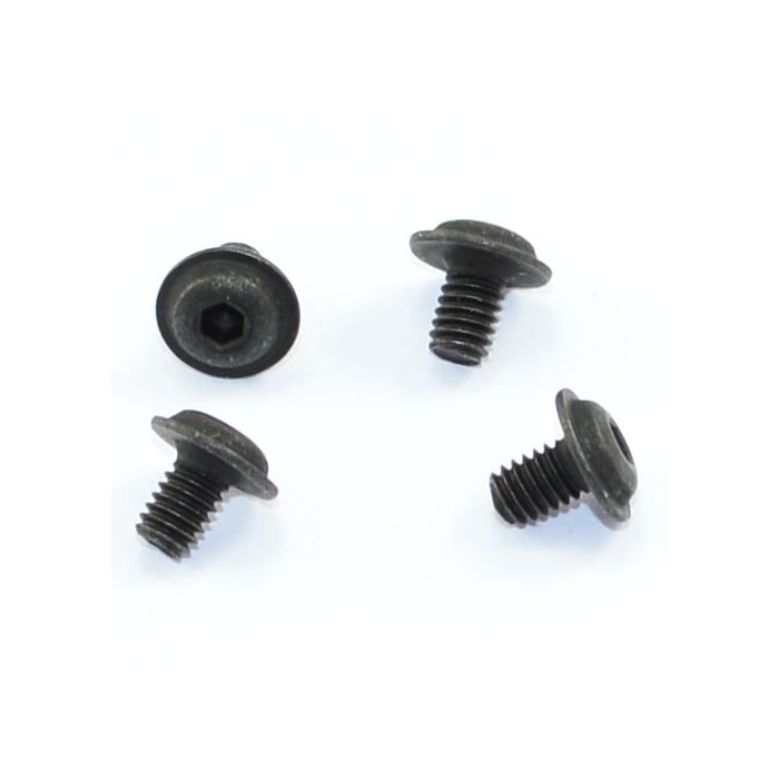 FTX COLT RING SELF TAPPING SCREW 2.5*4 4PCS FTX COLT RING SELF TAPPING SCREW 2.5*4 4PCS