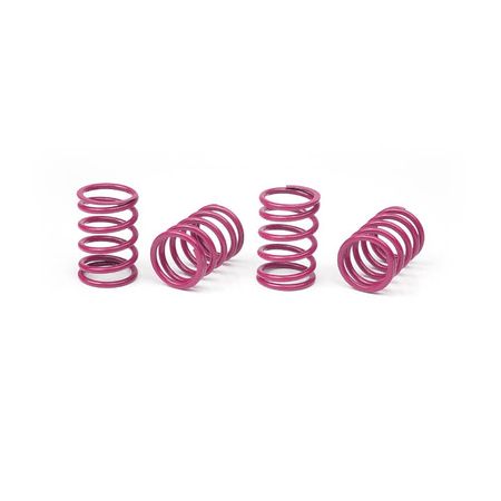 Xray Xray Spring-Set D=1.8 (33 Lb) Purple - Medium-Hard (4) --- Replaced With #348283 (XR308397) Xray Xray Spring-Set D=1.8 (33 Lb) Purple - Medium-Hard (4) --- Replaced With #348283 (XR308397)