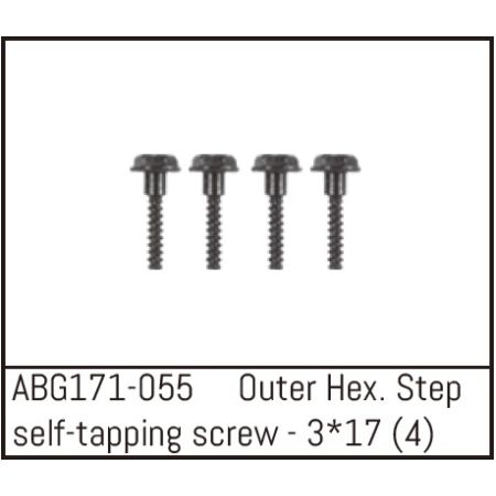 Absima Outer Hex. Step Self-Tapping Screw M3*17 (4) (ABG171-055) Absima Outer Hex. Step Self-Tapping Screw M3*17 (4) (ABG171-055)