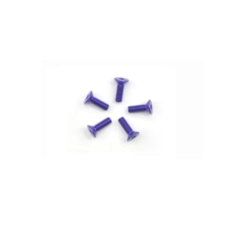 Arrowmax Alu Screw Allen Csk M2.5 x 8 Purple (5) (AM14CS2508P) Arrowmax Alu Screw Allen Csk M2.5 x 8 Purple (5) (AM14CS2508P)