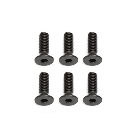 Team Associated Qualifier Apex 2.5 X 8mm FHCS (10) (AS31448)