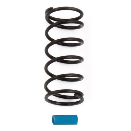 Team Associated RC12R6 Shock Spring Blue 12.4 Lb/In (AS4784) Team Associated RC12R6 Shock Spring Blue 12.4 Lb/In (AS4784)