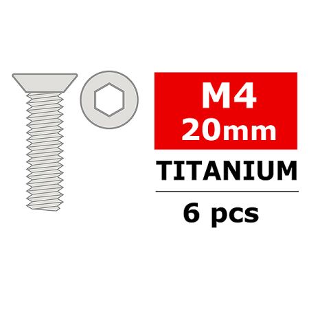Corally Titanium Screws M4 X 20mm Hex Flat Head 6 Pcs (C-34034) Corally Titanium Screws M4 X 20mm Hex Flat Head 6 Pcs (C-34034)