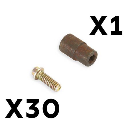 Fastrax Beadlock Wheel Studs Screws (30Pcs) (FAST134)