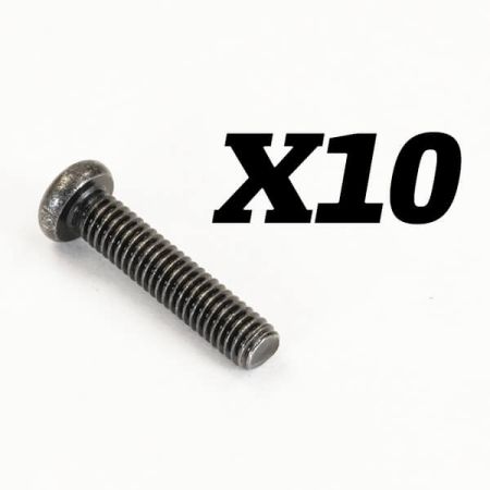 FTX Rokatan Round Head Cross Screw M2.5X12 (FTX10180) FTX Rokatan Round Head Cross Screw M2.5X12 (FTX10180)