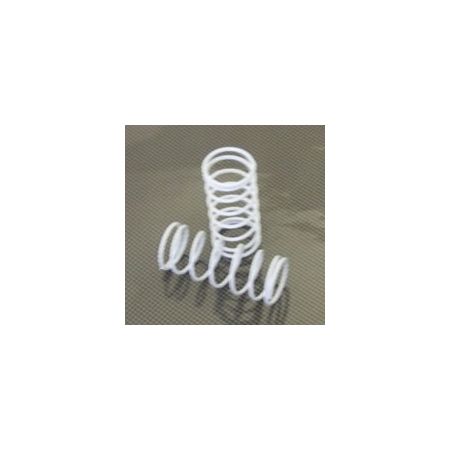 FTX Fr/Rr Shock Springs White (2) (Rampage/Outrage) FTX Fr/Rr Shock Springs White (2) (Rampage/Outrage)