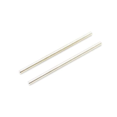 FTX Surge Battery Door Hinge Pins 2.5X56mm (2) (FTX7212)