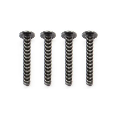FTX Outback Button Head Screw M2*14 (4) (FTX8215) FTX Outback Button Head Screw M2*14 (4) (FTX8215)