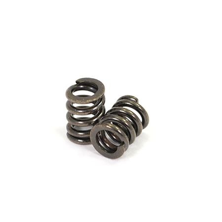 FTX Outback Hi-Rock Slipper Spring (2) (FTX9289) FTX Outback Hi-Rock Slipper Spring (2) (FTX9289)