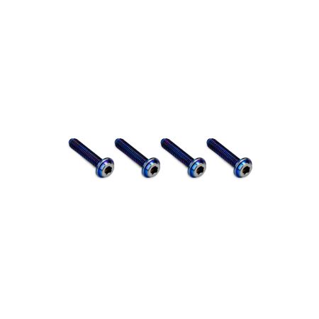 jConcepts 3x14mm Top Hat Titanium Screw - Burnt Blue - 4pc (JC5041-1) jConcepts 3x14mm Top Hat Titanium Screw - Burnt Blue - 4pc (JC5041-1)
